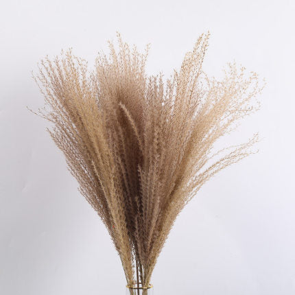 15Pcs Dried Small Pampas Grass Flowers Home Decoration