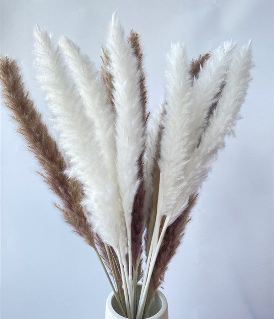 15Pcs Dried Small Pampas Grass Flowers Home Decoration
